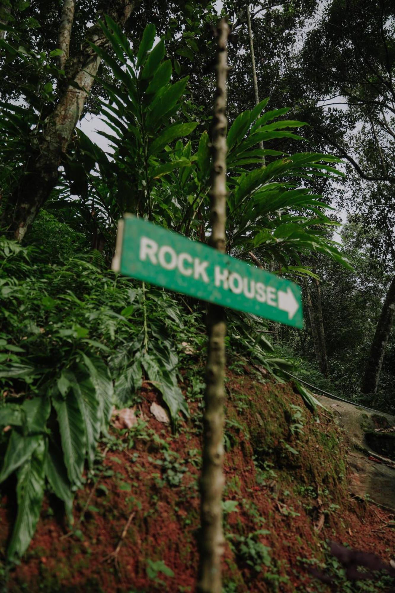 Ela Ecoland Nature Retreat Munnar Exterior foto